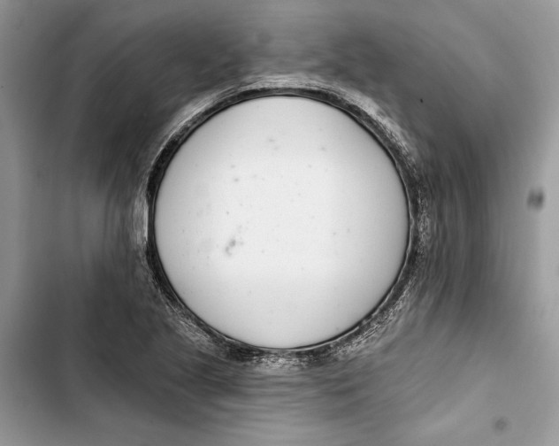 X0000103401221200810031217