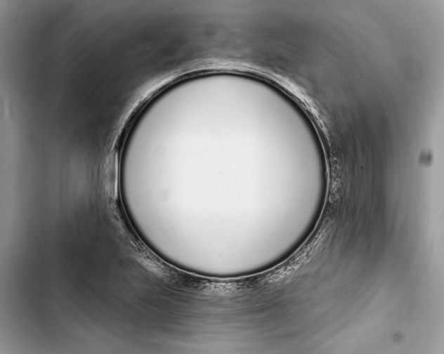 X0000103401223200810031217