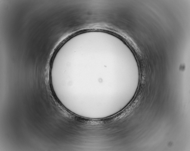 X0000103401224200810031217