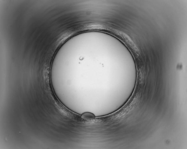 X0000103401225200810031217