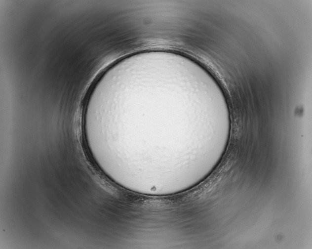 X0000103401227200810031217