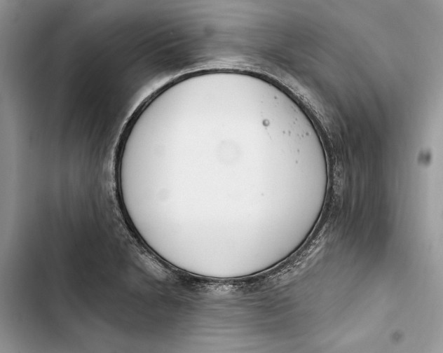 X0000103401230200810031217