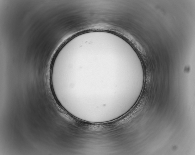 X0000103401232200810031217