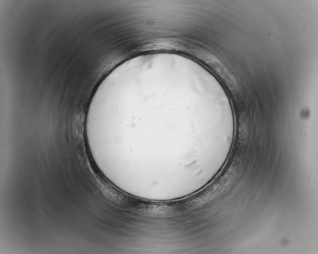 X0000103401233200810031217