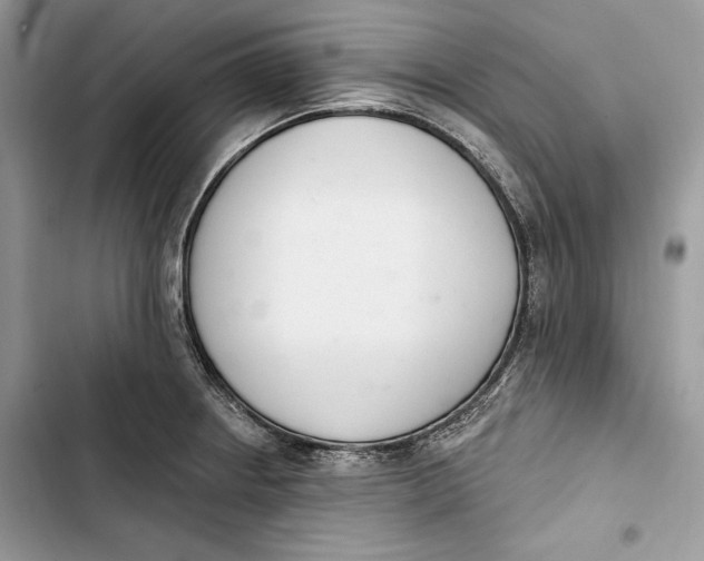 X0000103401234200810031217