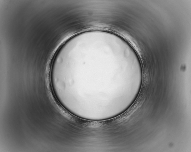 X0000103401235200810031217