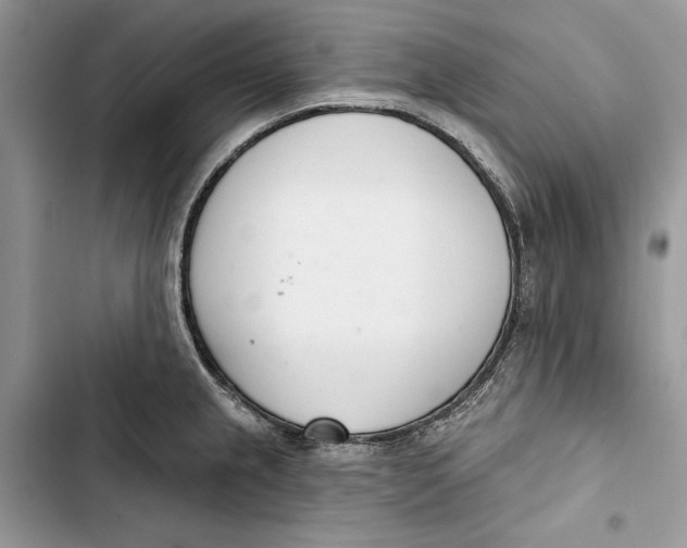 X0000103401237200810031217