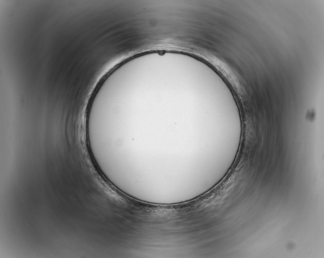 X0000103401238200810031217