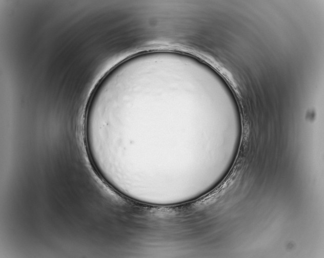 X0000103401239200810031217