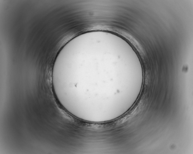 X0000103401241200810031218