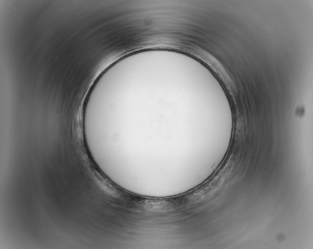 X0000103401242200810031218