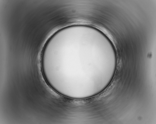 X0000103401243200810031218