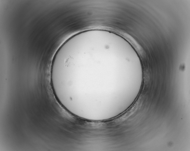 X0000103401244200810031218