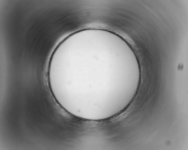 X0000103401248200810031218