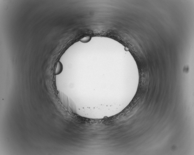 X0000103401249200810031217