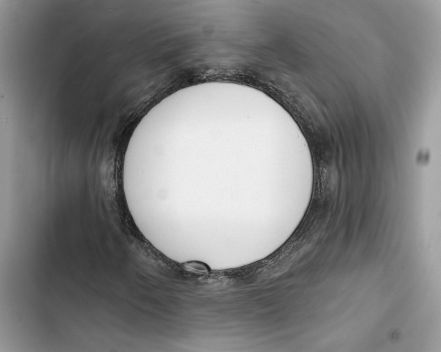 X0000103401250200810031217