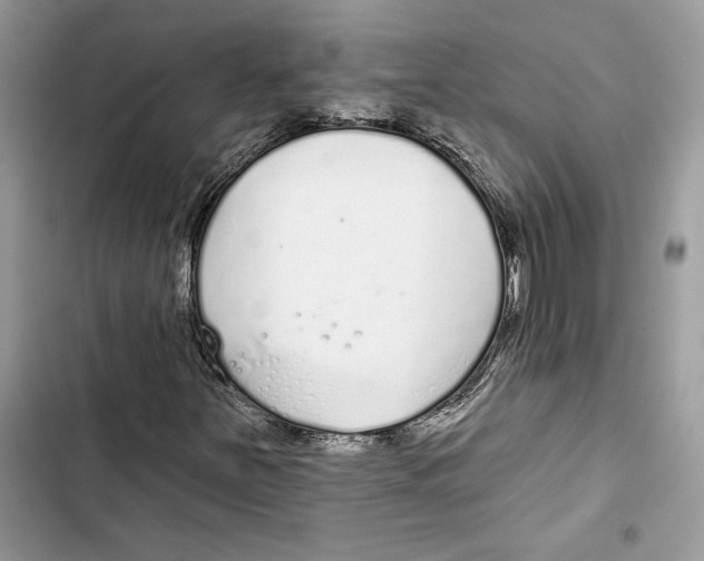 X0000103401251200810031217