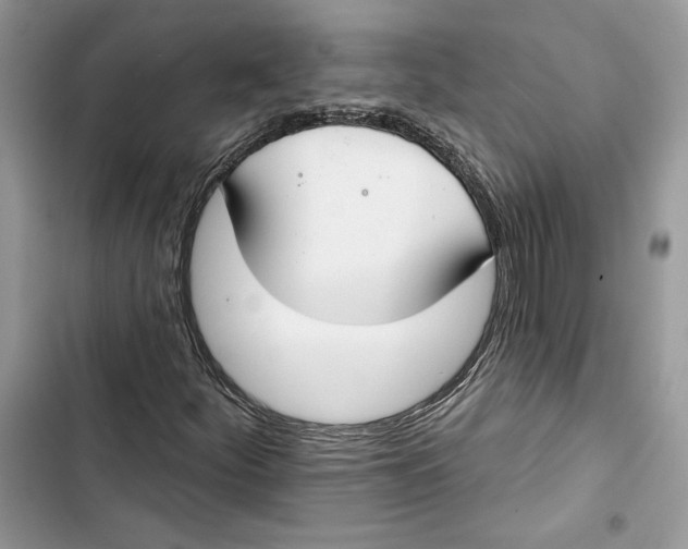 X0000103401252200810031217