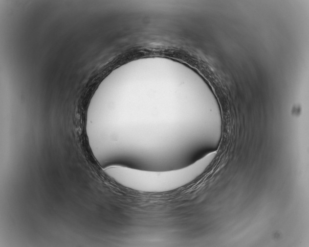 X0000103401253200810031217