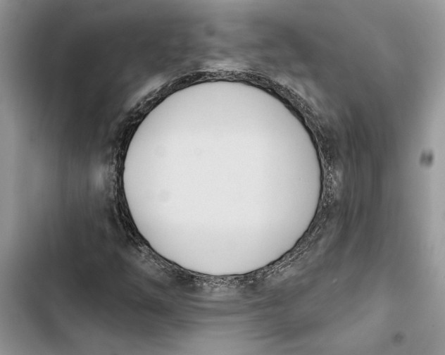 X0000103401254200810031217