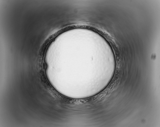 X0000103401255200810031217