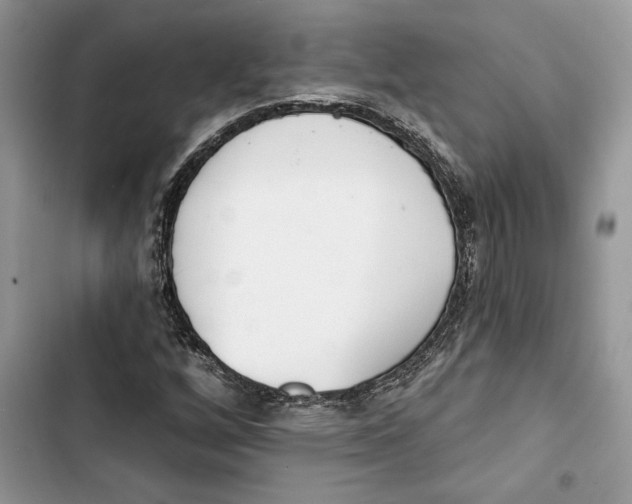 X0000103401256200810031217