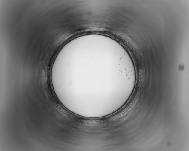 X0000103401257200810031217