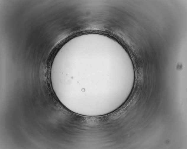 X0000103401258200810031217