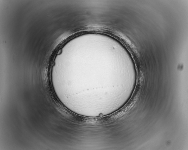 X0000103401259200810031217