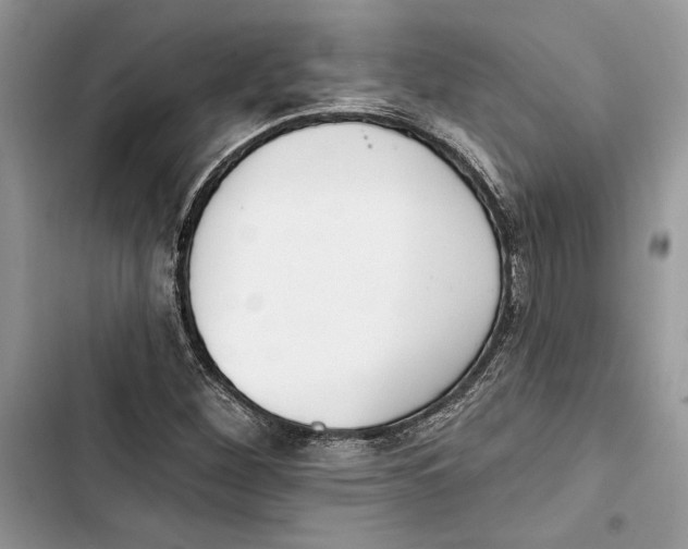 X0000103401260200810031217