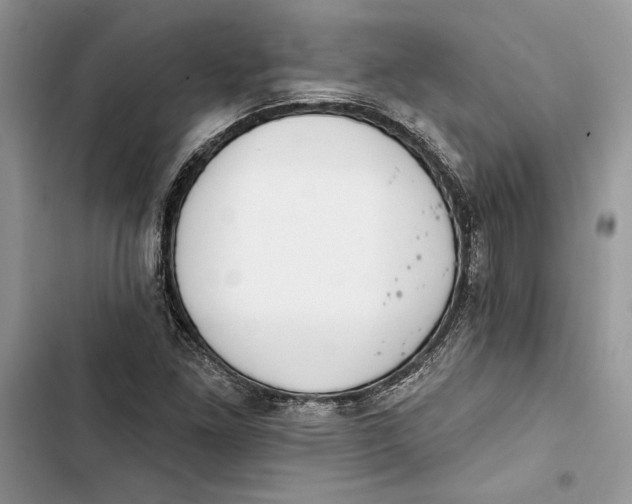 X0000103401261200810031217