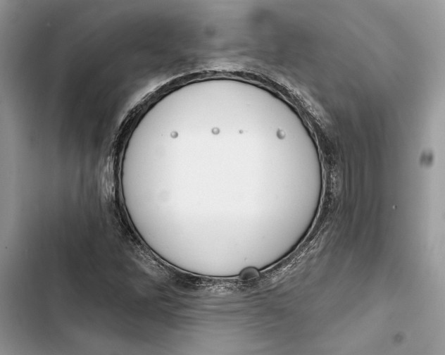 X0000103401262200810031217