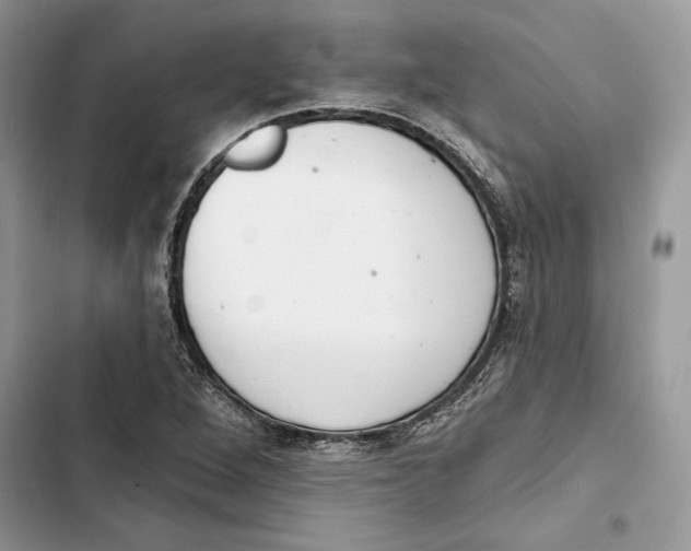 X0000103401264200810031217