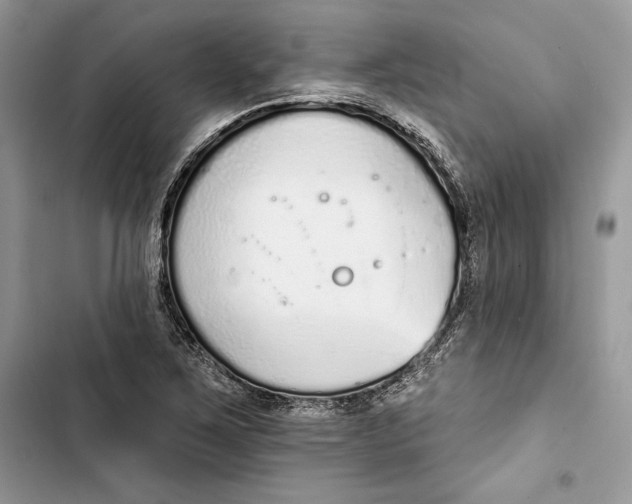 X0000103401267200810031217