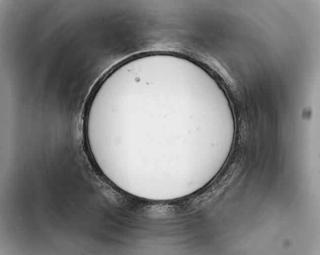 X0000103401268200810031217