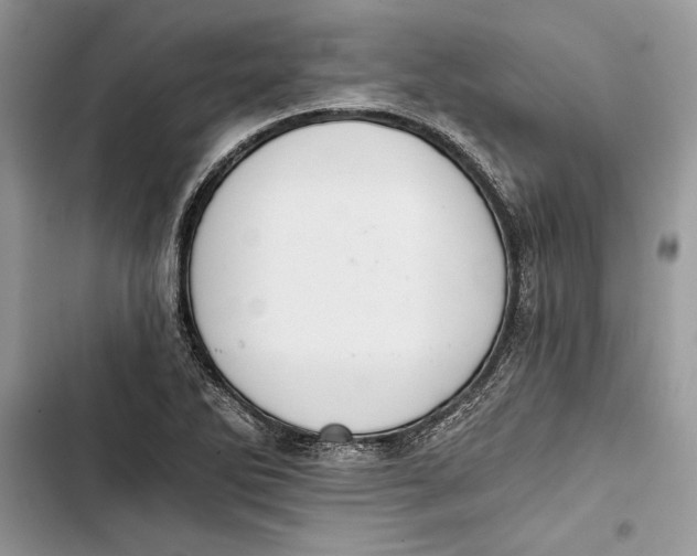 X0000103401270200810031217