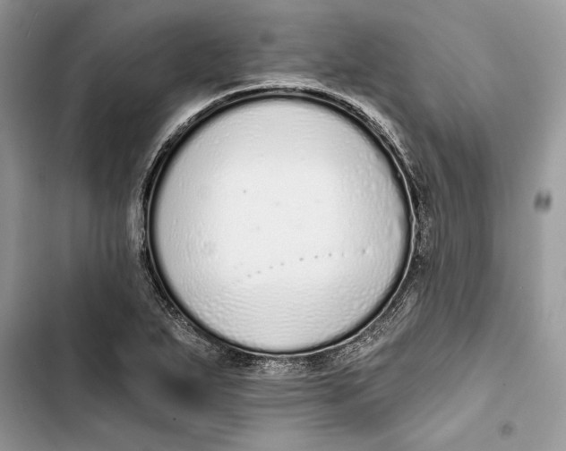 X0000103401271200810031217