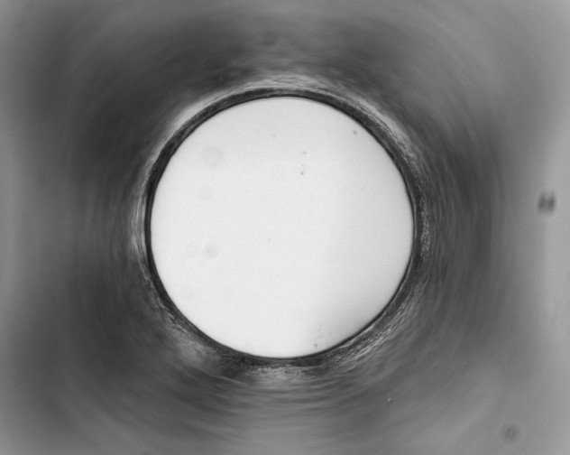 X0000103401272200810031217