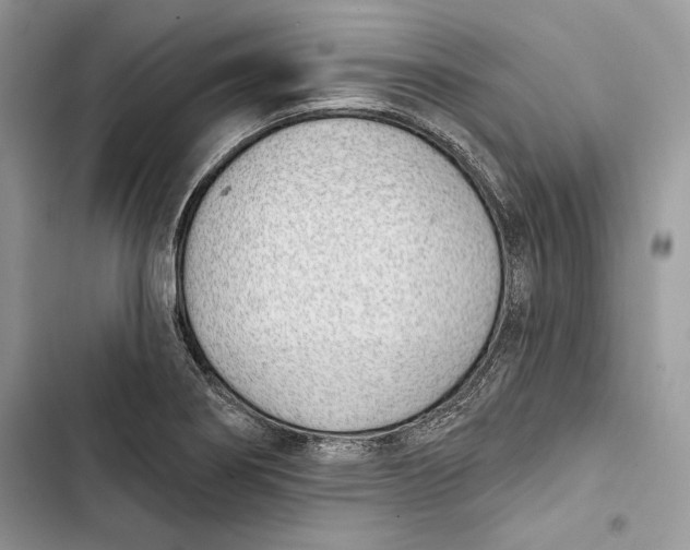 X0000103401274200810031217