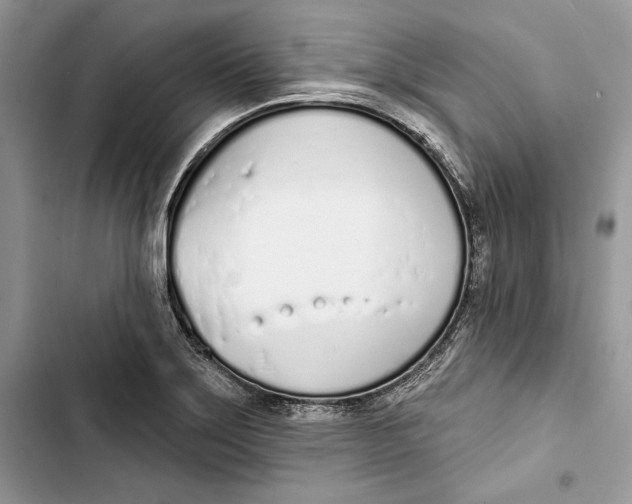 X0000103401275200810031217