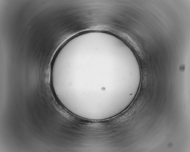 X0000103401276200810031217