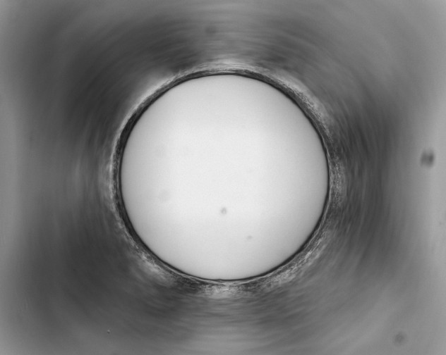 X0000103401278200810031217