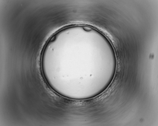 X0000103401279200810031216