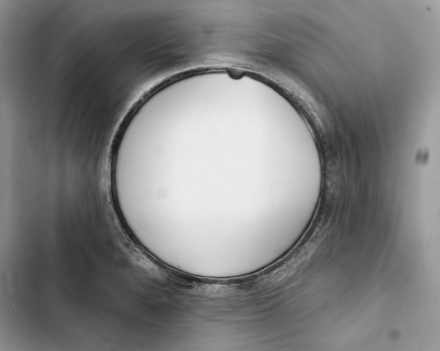 X0000103401280200810031216