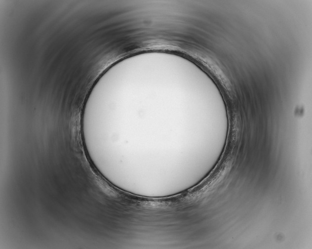 X0000103401281200810031216