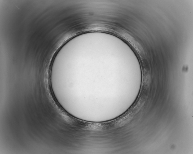 X0000103401282200810031216