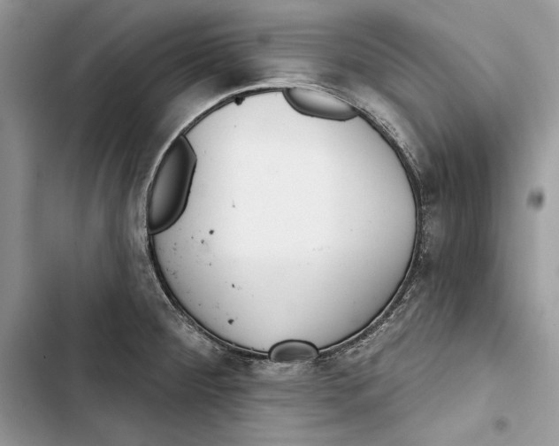 X0000103401284200810031216