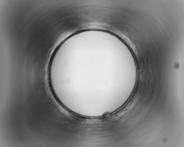 X0000103401285200810031216