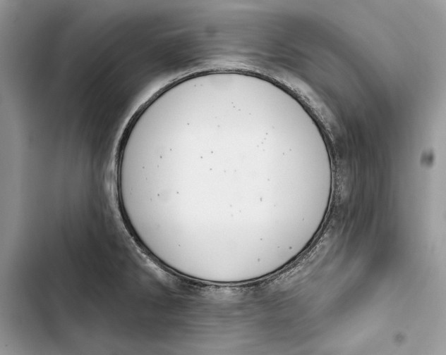 X0000103401286200810031216