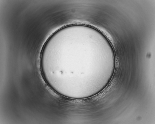 X0000103401287200810031216